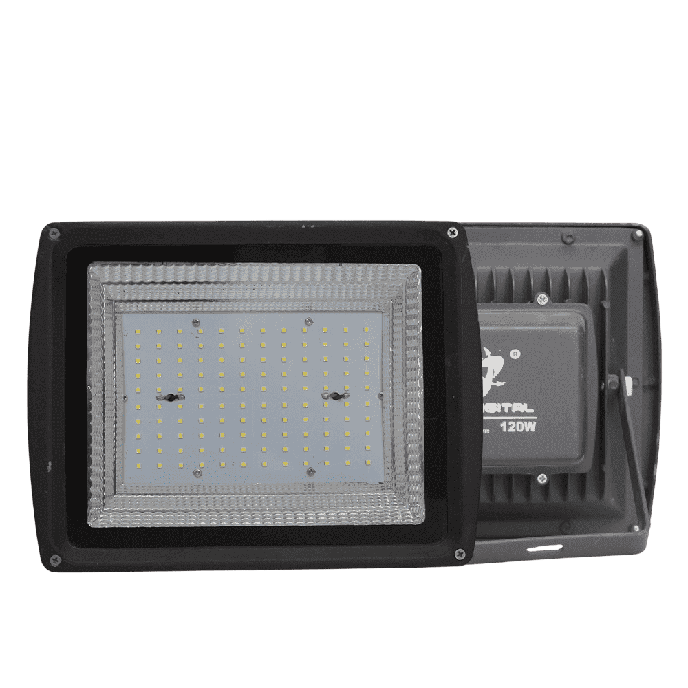 Nile Flood Light