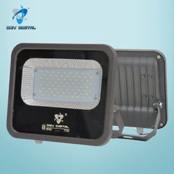 Galaxy Led Flood Light